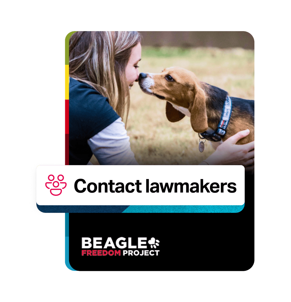 A volunteer welcomes a beagle rescue for Beagle Freedom Project, highlighting the Contact lawmakers feature of ActionButton.